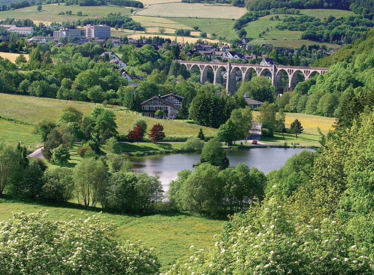 Komfort-Fewo Ettelsberg-Panorama วิลลิงเงิน ห้อง รูปภาพ